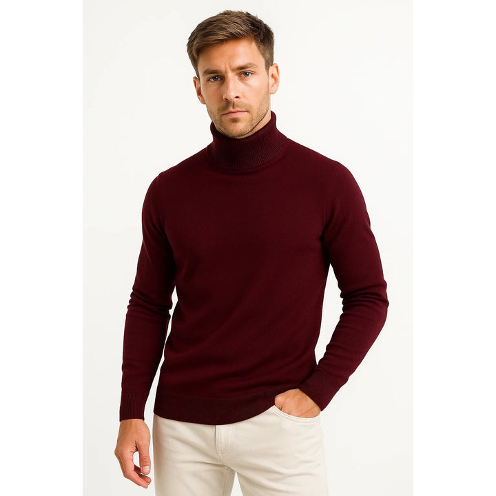 Pull col roulé homme en laine vierge – coupe confortable
